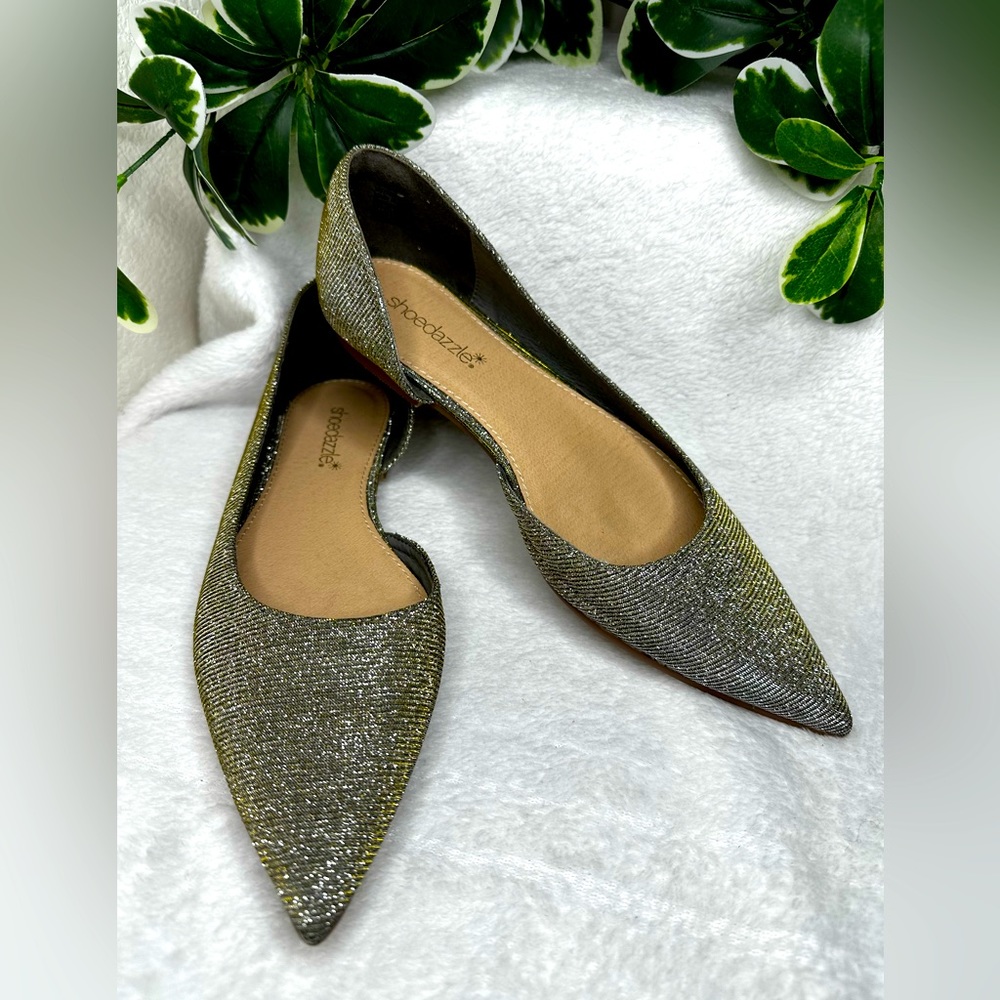 NWOT✨Shoe dazzle✨Ismene Slip On Flats Size 7